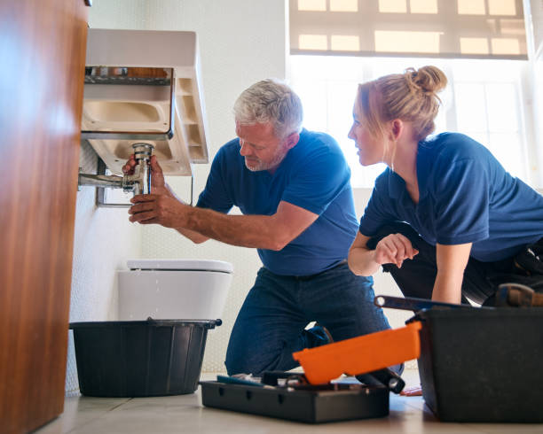 Best Plumbing Inspection Services  in Hendersonville, TN